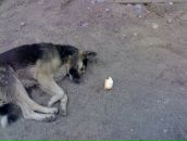 Кирилл Нов фотография #37 (источник - https://vk.com/id13050003)