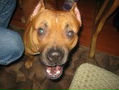 Джек Ценкін фотография #5 (источник - https://vk.com/id100363511)