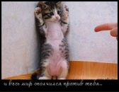 Фотография Марина Копытовская