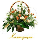 Альона Іванова фотография #50 (источник - https://vk.com/id79643458)