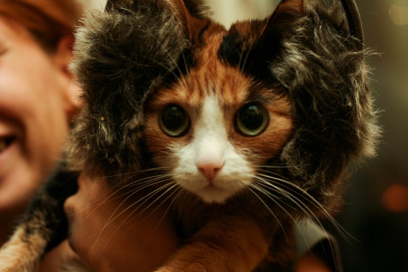 Катрин Варежкина фотография #2