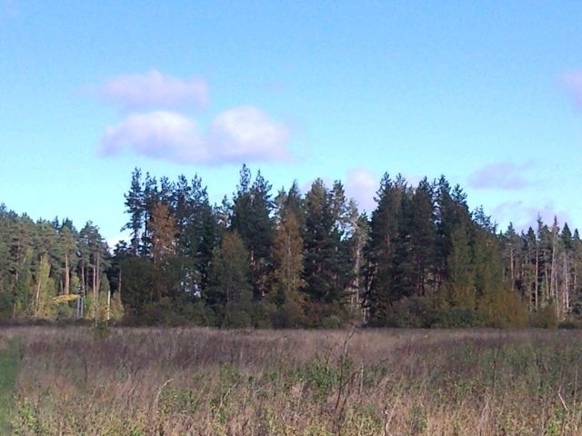 Сергей Адов фотография #26