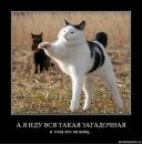 Ігор Тарасюк фотография #36 (источник - https://vk.com/id15155265)