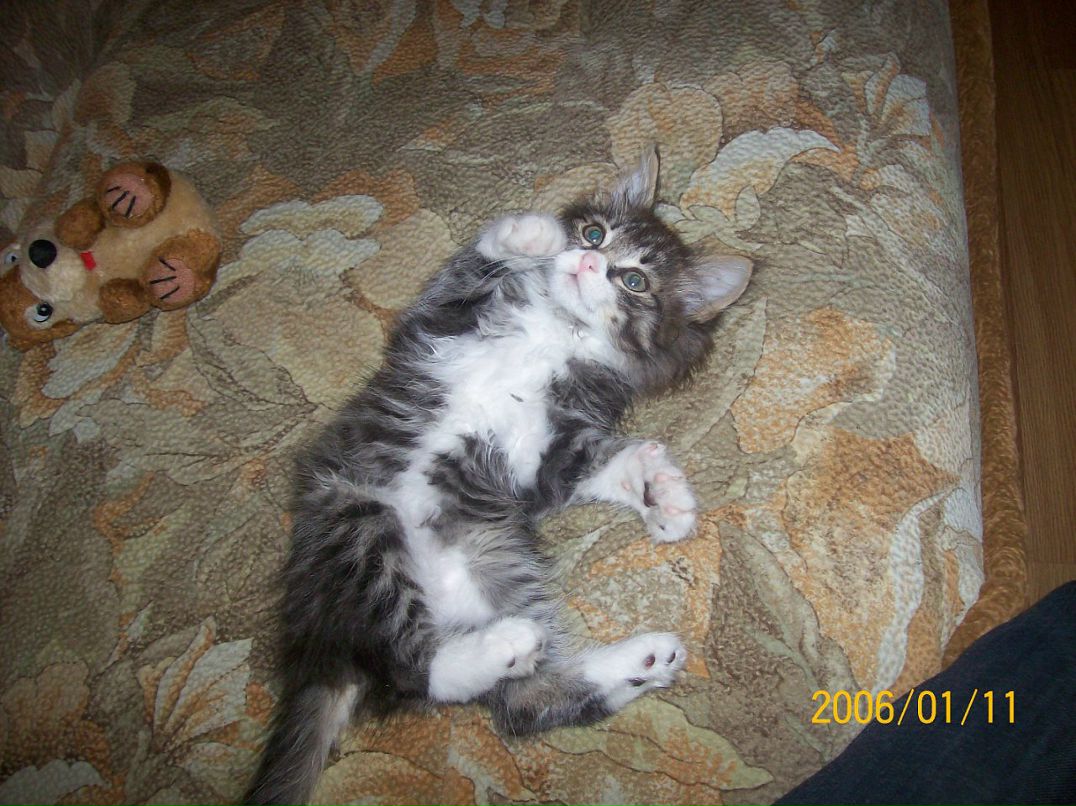 Андрей Поляков фотография #26