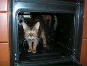 Фотография Андреевой Ольги