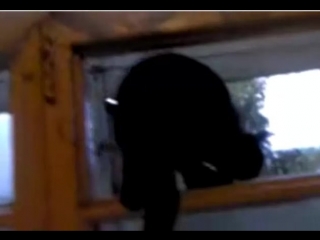 кот гавкает и не рыгает