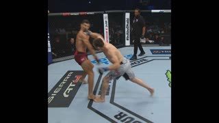 Муслим Салихов нокаутировал Нордина Талеба