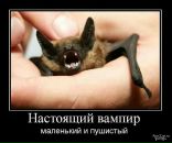 Фарид Мударрис фотография #21 (источник - https://vk.com/id90649712)