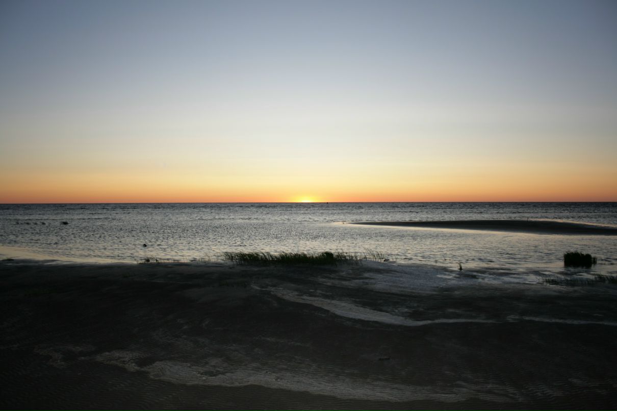 Владимир Дмитриев фотография #42