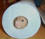 Фотография Анастасии Анастасии