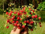 Фотография Облеуховой Дарьи