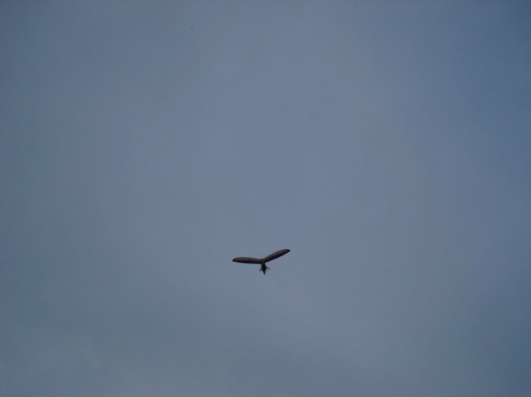 Ольга Сидорова фотография #33