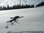 Сергій Бобик фотография #31 (источник - https://vk.com/id6043391)