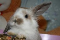 Фотография Рзяниной Екатерины