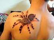 Рiтуська Делідон фотография #24 (источник - https://vk.com/id85096813)