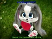 Фотография Алехина Алексея