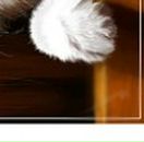 Ліля Сафіна фотография #48 (источник - https://vk.com/id89084279)