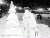 Фотография Зыковой Олеси