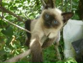 Станіслав Kazanova фотография #40 (источник - https://vk.com/id15439248)