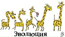 Фотография Зарембо-Исландского Максима