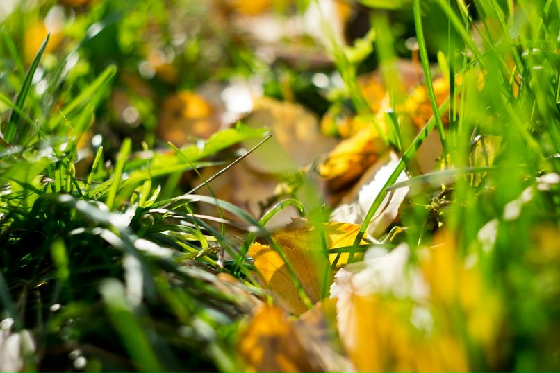 Антон Девяткин фотография #34