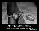Фотография Рафисовича Рината