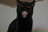 Фотография Жильцовой Олеси