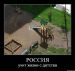  фотография #48