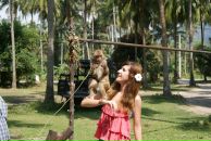 Фотография Romanova Ekaterina