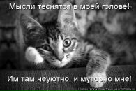 Фотография Щелывановой Ольги