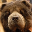 Фотография Ермакова Евгения