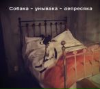 Фотография Хохриной Анны