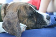 Кирилл Митяев фотография #37 (источник - https://vk.com/id6828811)