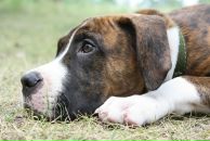 Кирилл Митяев фотография #7 (источник - https://vk.com/id6828811)