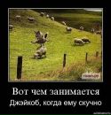 Коханий ♥♥♥♥♥ фотография #24 (источник - https://vk.com/id96742588)