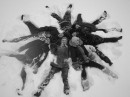 Сірко Бойчик фотография #6 (источник - https://vk.com/id78855396)
