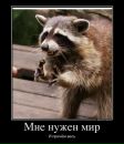 Фотография Андреева Николая
