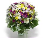 Фотография Маракасовой Елизаветы