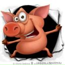 Фотография Баширова Виталия