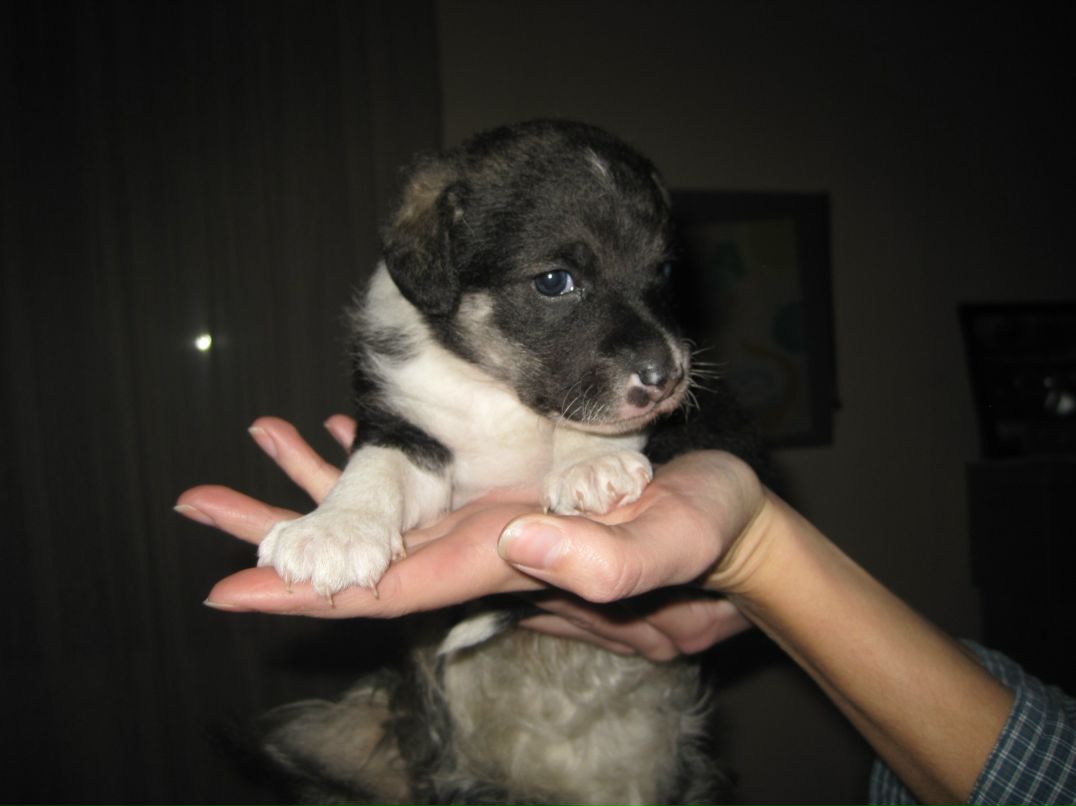 Анна Бородина фотография #27