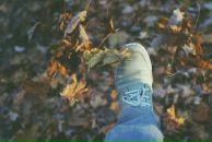 Макс Мелентьев фотография #36 (источник - https://vk.com/id207608)