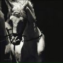 Фотография Денисовой Вероники