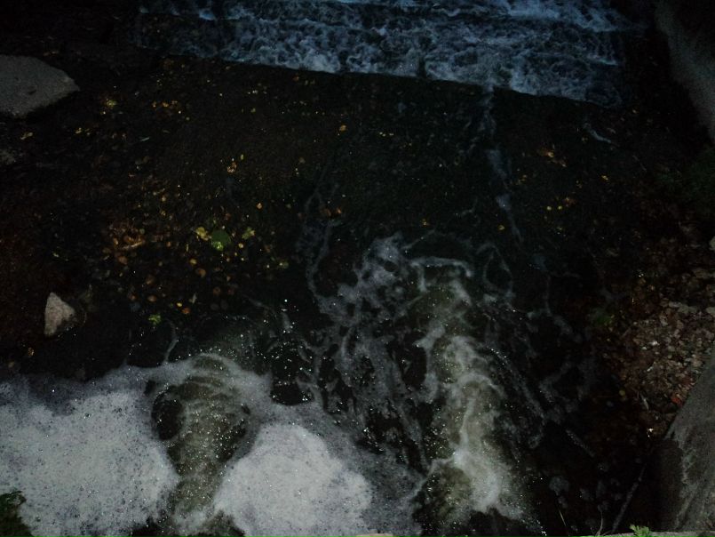 Сергей Якушенко фото №16