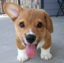 Ірина Гайдук фотография #41 (источник - https://vk.com/id95078658)