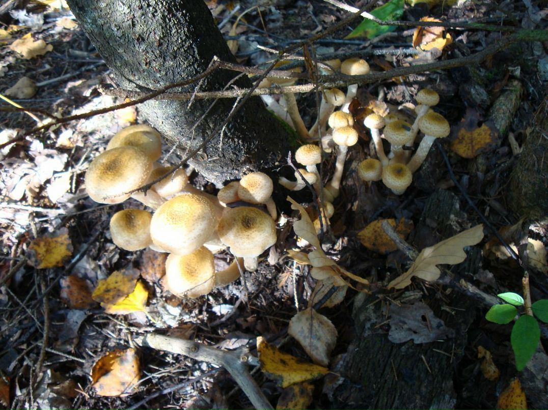 Эмма Кубло фотография #38