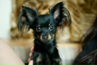 Фотография Гуриной Кати