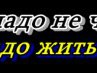 Ксения Ян фотография #7 (источник - https://vk.com/id134942657)