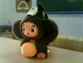 Фотография Шальцина Дени