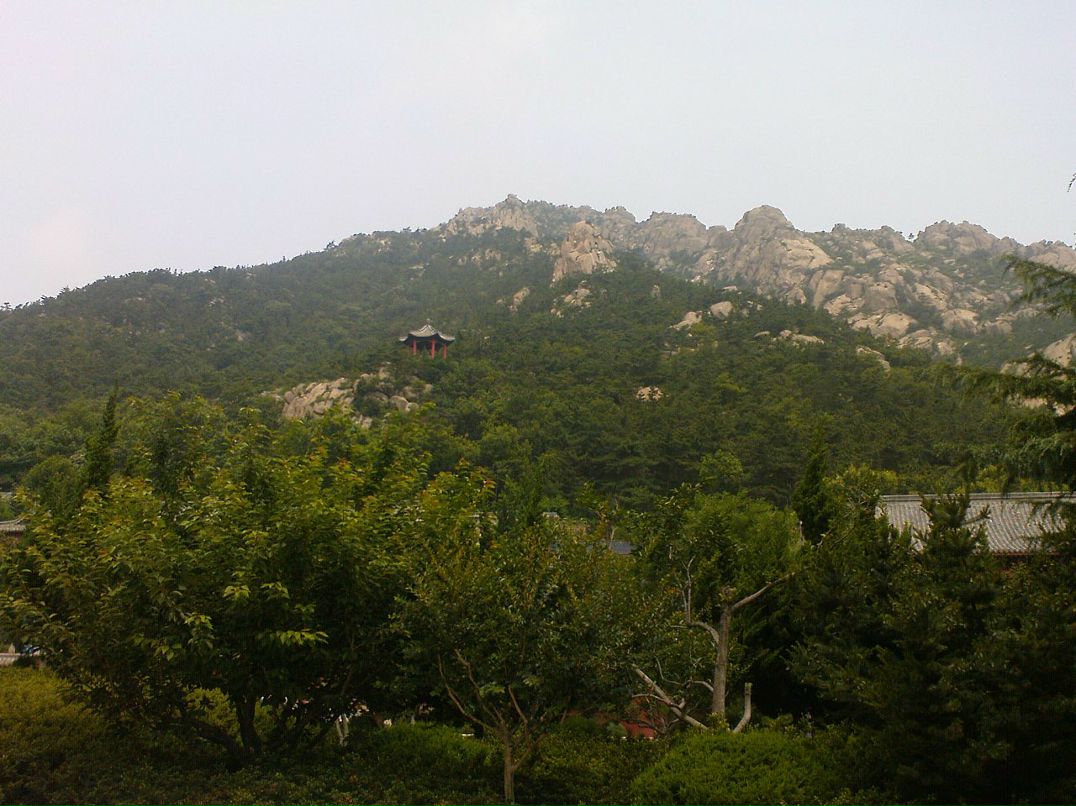 Дмитрий Тимохин фотография #19