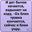 Сергій Мельник фотография #7 (источник - https://vk.com/id157517394)